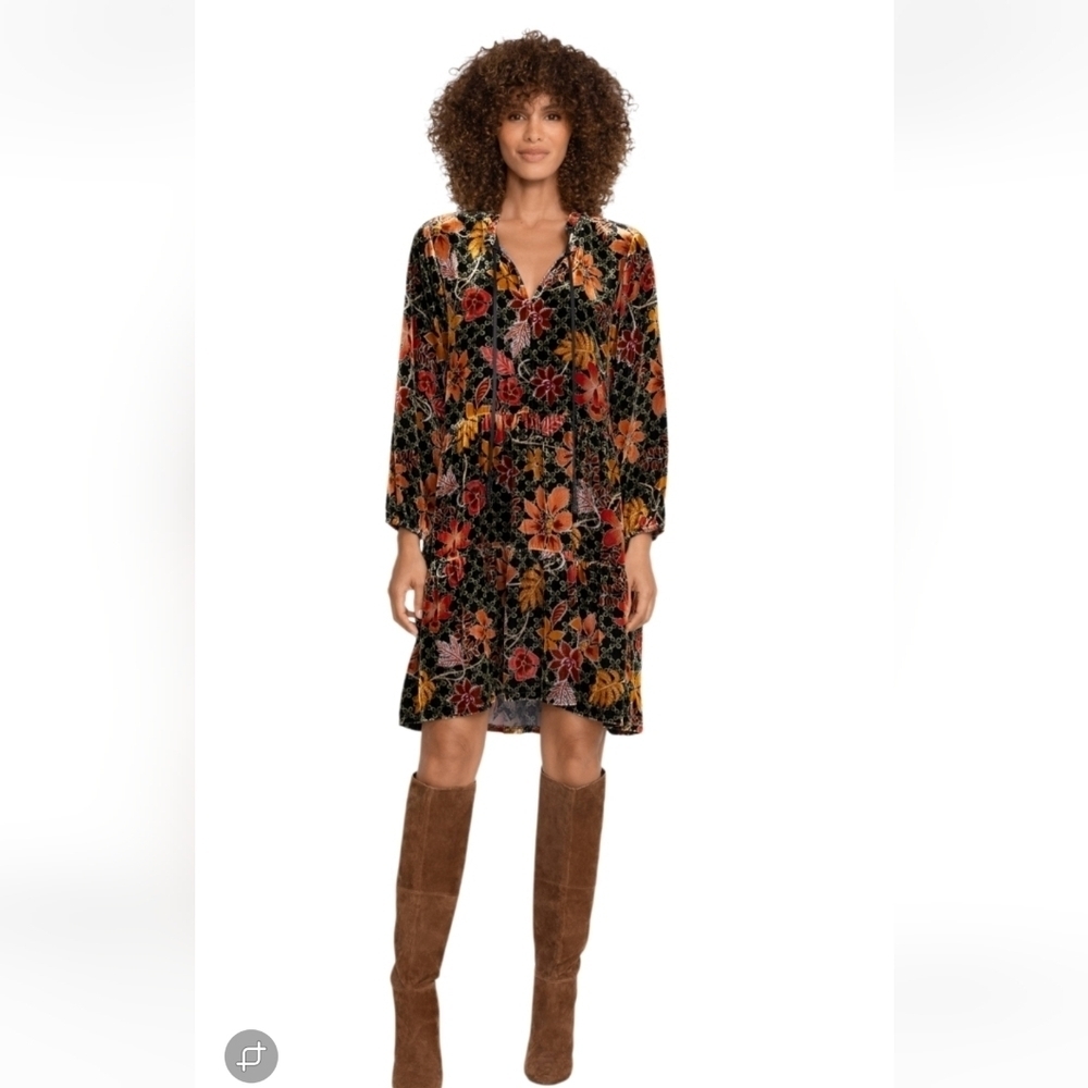 Johnny Was Jasmoon Flore Velvet Field Tiered Dress Size 1X